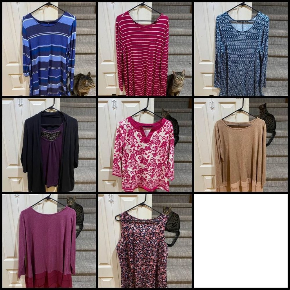 Plus Size Women's Clothes (PKG 4)